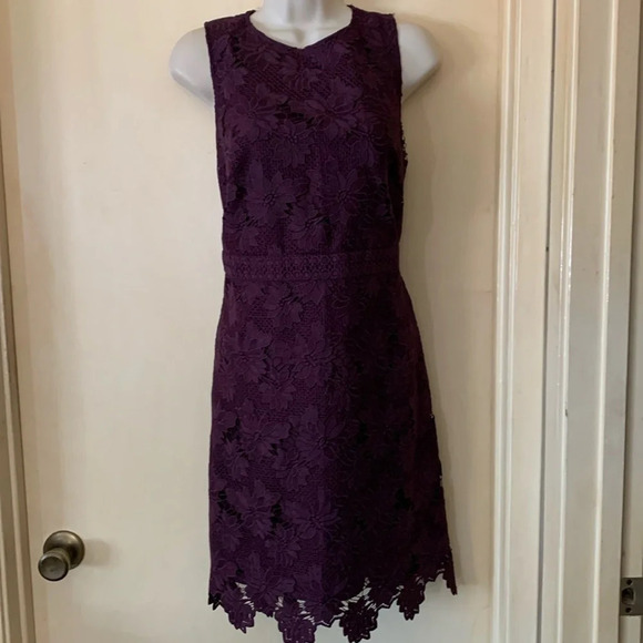 Ann Taylor Loft plum lace dress size 6 NWOT - Picture 1 of 13
